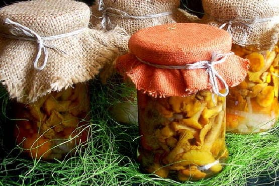 Pickled chanterelles for the winter - 5 recipes with photos step by step