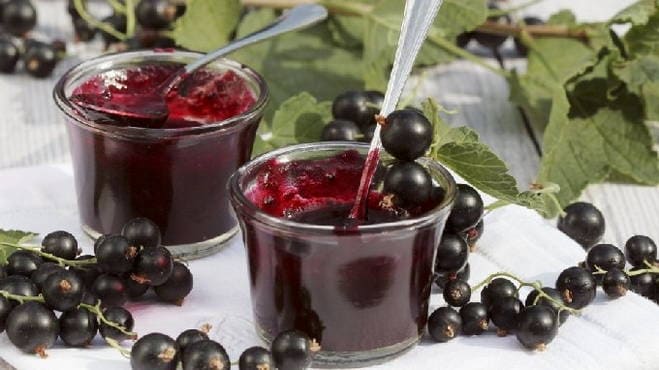 Black currant, mashed with sugar, without cooking for the winter