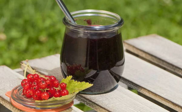 Red currant jam for the winter