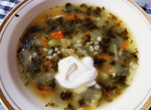 Sorrel soup with barley