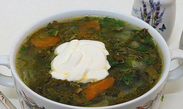 Sorrel cabbage soup