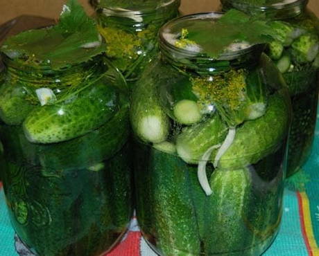 Pickled cucumbers without sugar