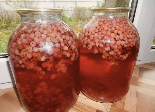 Red and white currant compote