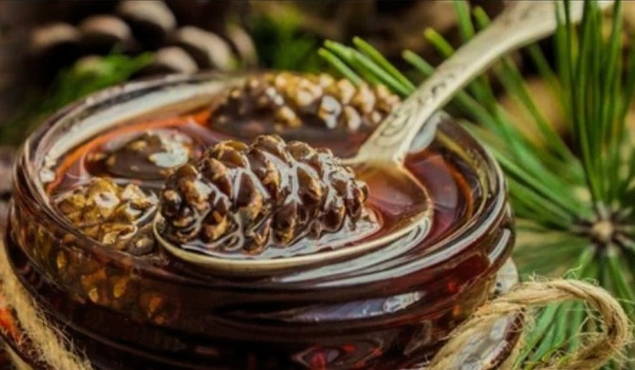 Pine cone jam with citric acid