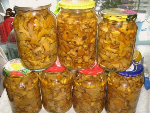 Pickled chanterelles with citric acid