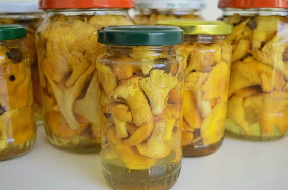 Girolles marinées sans vinaigre