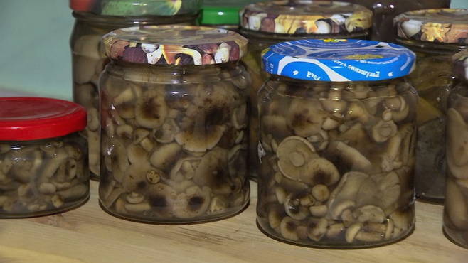 Pickled mushrooms under a nylon lid