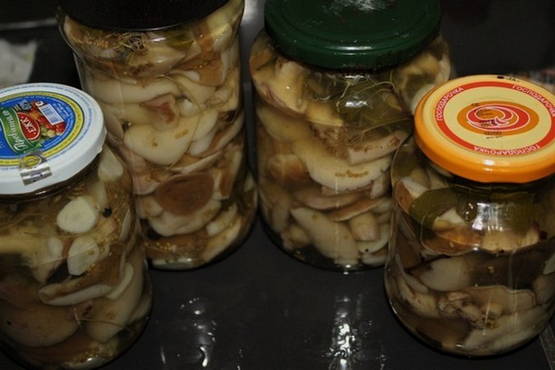 Champignons marinés au miel et vinaigre de cidre de pomme