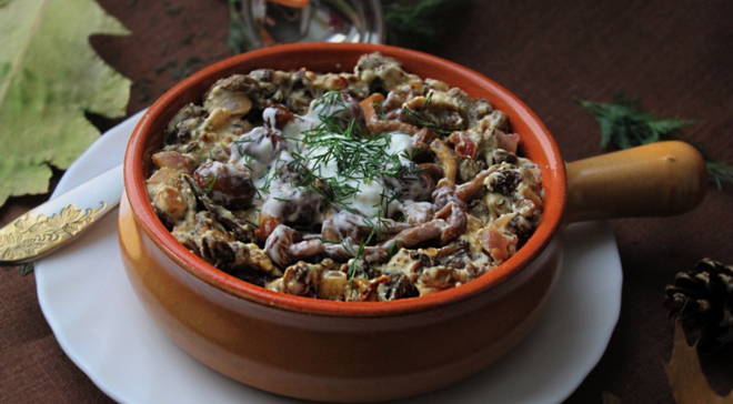 Braised mushrooms in sour cream