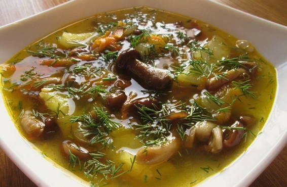 Soup with fresh mushrooms