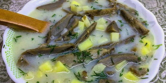 Mushroom soup with milk mushrooms