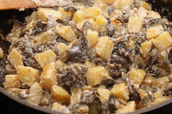 Honey mushrooms in sour cream with potatoes