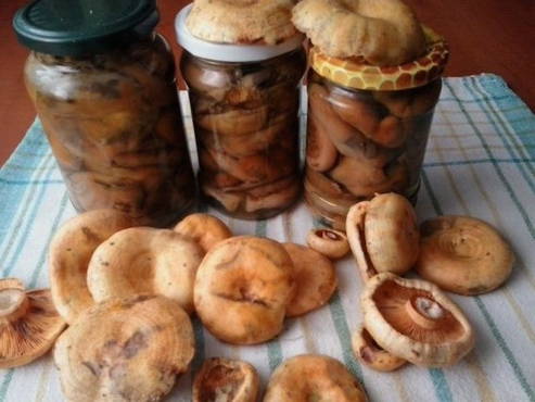 Pickled mushrooms with vinegar