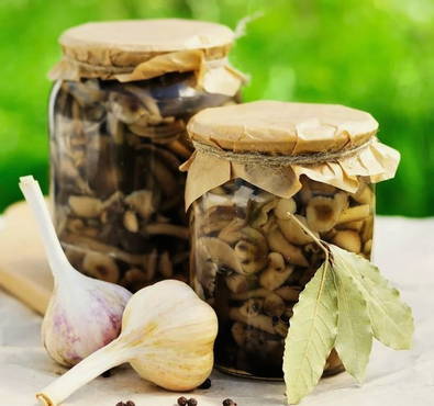 How to salt honey mushrooms for the winter in banks