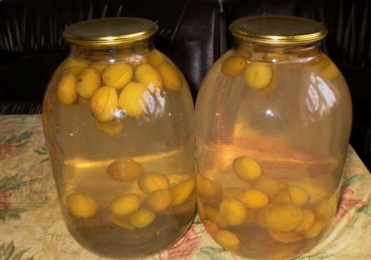 Yellow plum compote with seeds for the winter