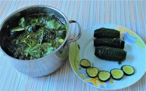 Lightly salted cucumbers in mineral water in a saucepan