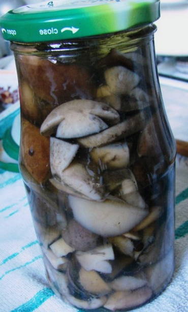 Pickled boletus boletus with oil for the winter