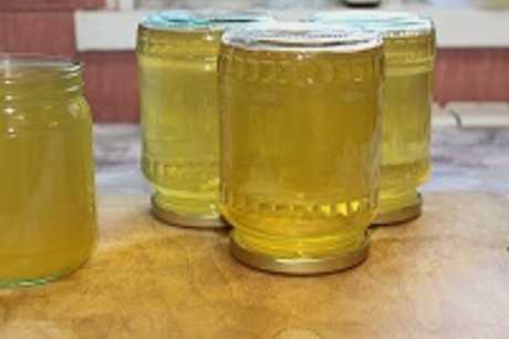 Pumpkin juice in a juicer for the winter