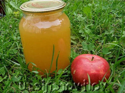 Apple juice in a juicer without sugar for the winter