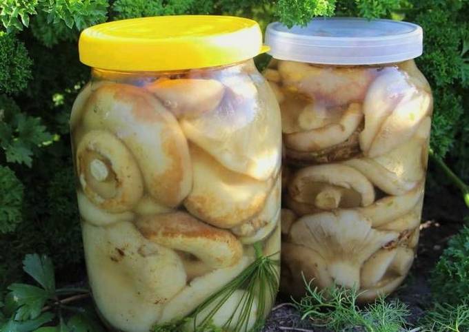 Pickled milk mushrooms recipe as easy as shelling pears for the winter