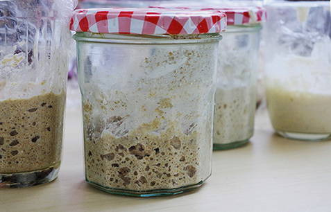 Live sourdough for bread with your own hands