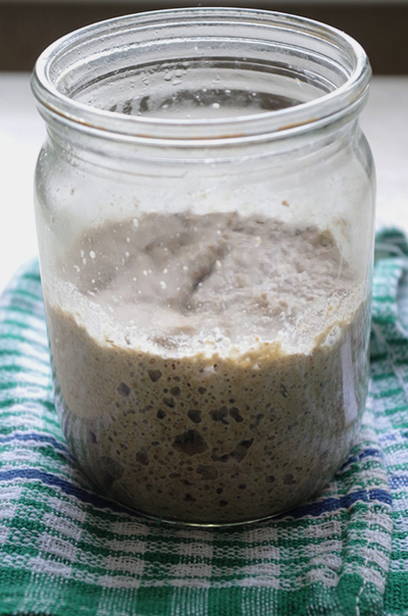 Sourdough for black bread