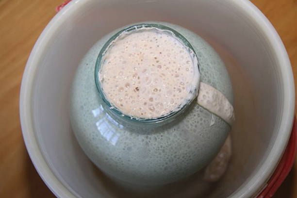 Yeast-free sourdough for wheat bread at home