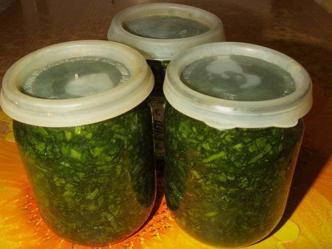 Sorrel with salt for the winter in jars