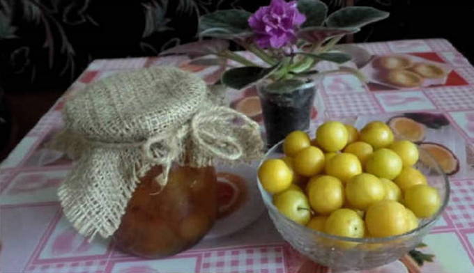 Five-minute cherry plum jam with seeds for the winter