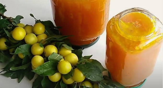 Yellow cherry plum jam for the winter