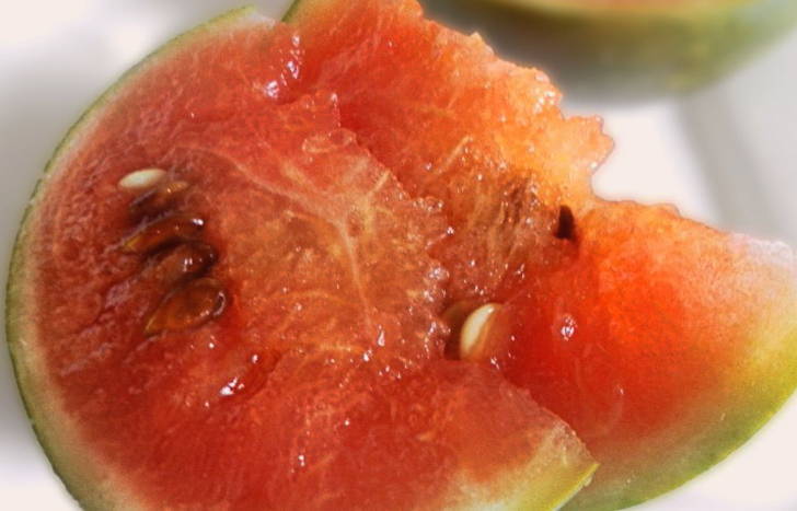 Salted watermelons in a barrel for the winter