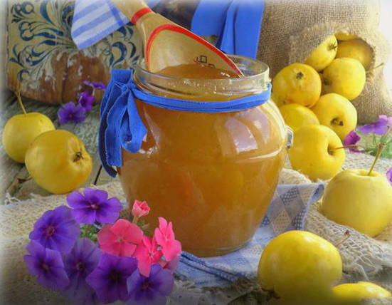 Puree from ranetki through a sieve for the winter