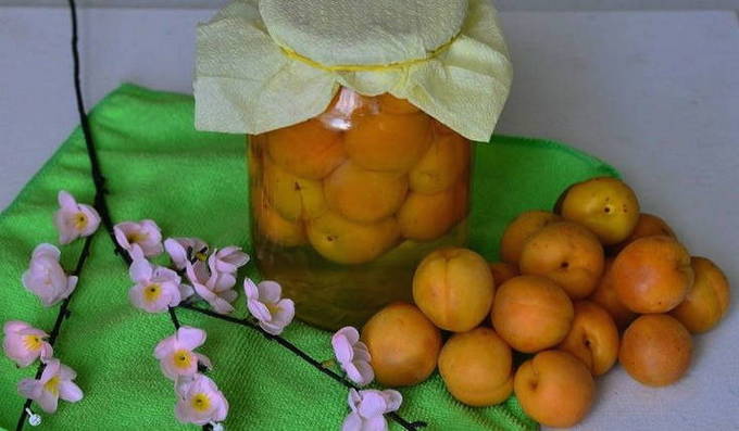 Apricot pitted compote with orange