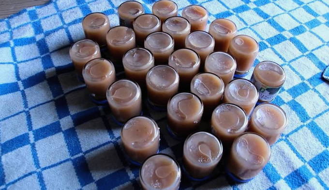 Compote de pommes à travers un presse-agrumes pour l'hiver