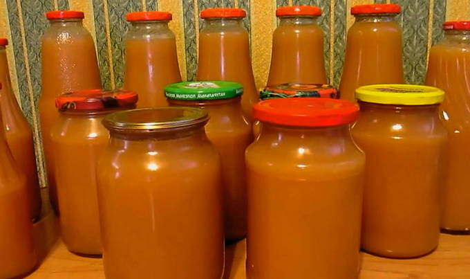 Apple juice from ranetki through a juicer with pulp for the winter