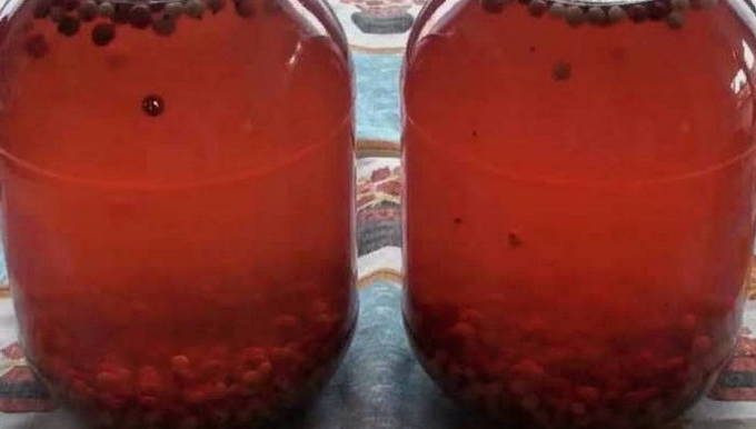 Compote d'airelles en pot de 3 litres sans stérilisation pour l'hiver