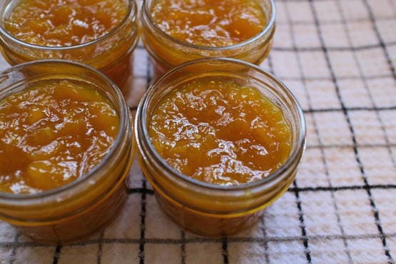 Confiture de pommes dans un hachoir à viande